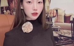 解密大行动全集